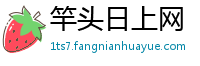 竿头日上网